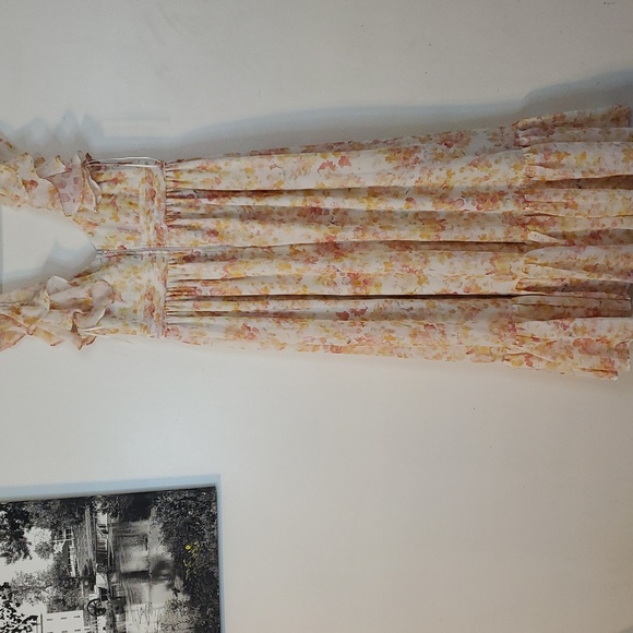 Birdy Grey Michelle Dress Size Sm Chiffon Pressed Floral Ruffle Sleeve Side Slit - Picture 9 of 16